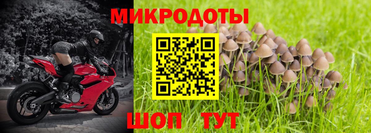 где можно купить наркотик  Псилоцибиновые грибы Psilocybine cubensis  Вход с VPN  Хасавюрт 